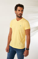 Homem veste camiseta básica Malwee na cor amarela com bordado.