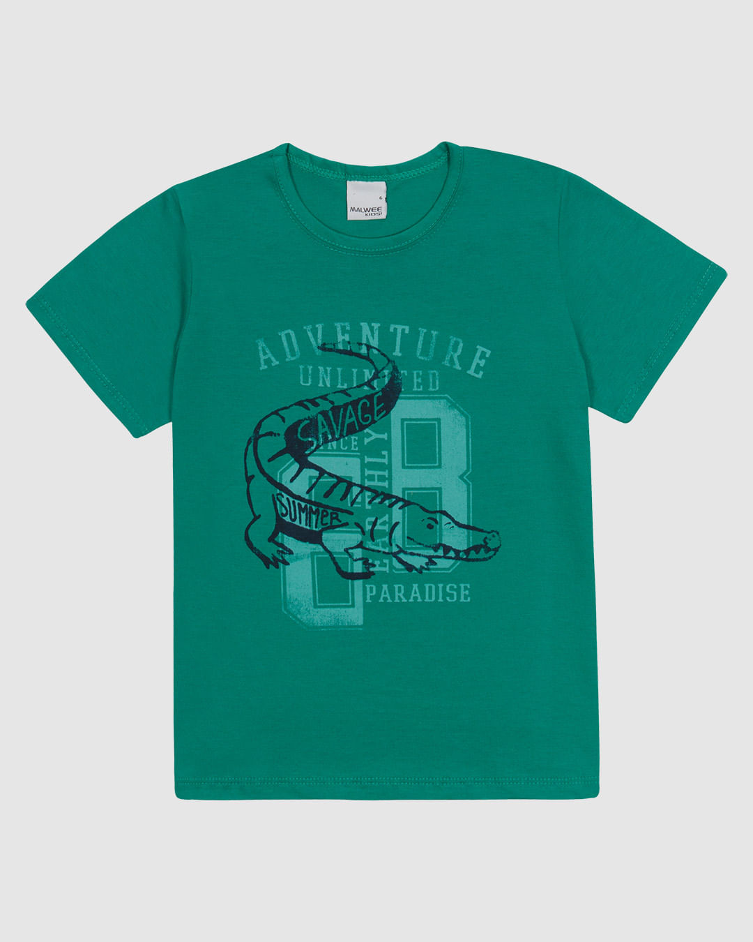 Camiseta Infantil Menino Manga Curta Estampa Frontal Em Algodão Malwee Kids