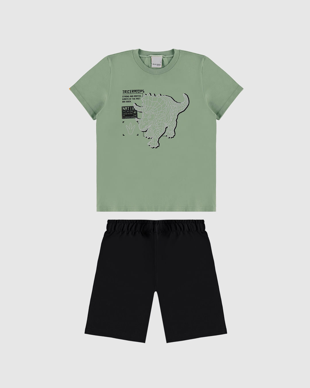 Conjunto Infantil Menino Camiseta Manga Curta E Bermuda Malwee Kids
