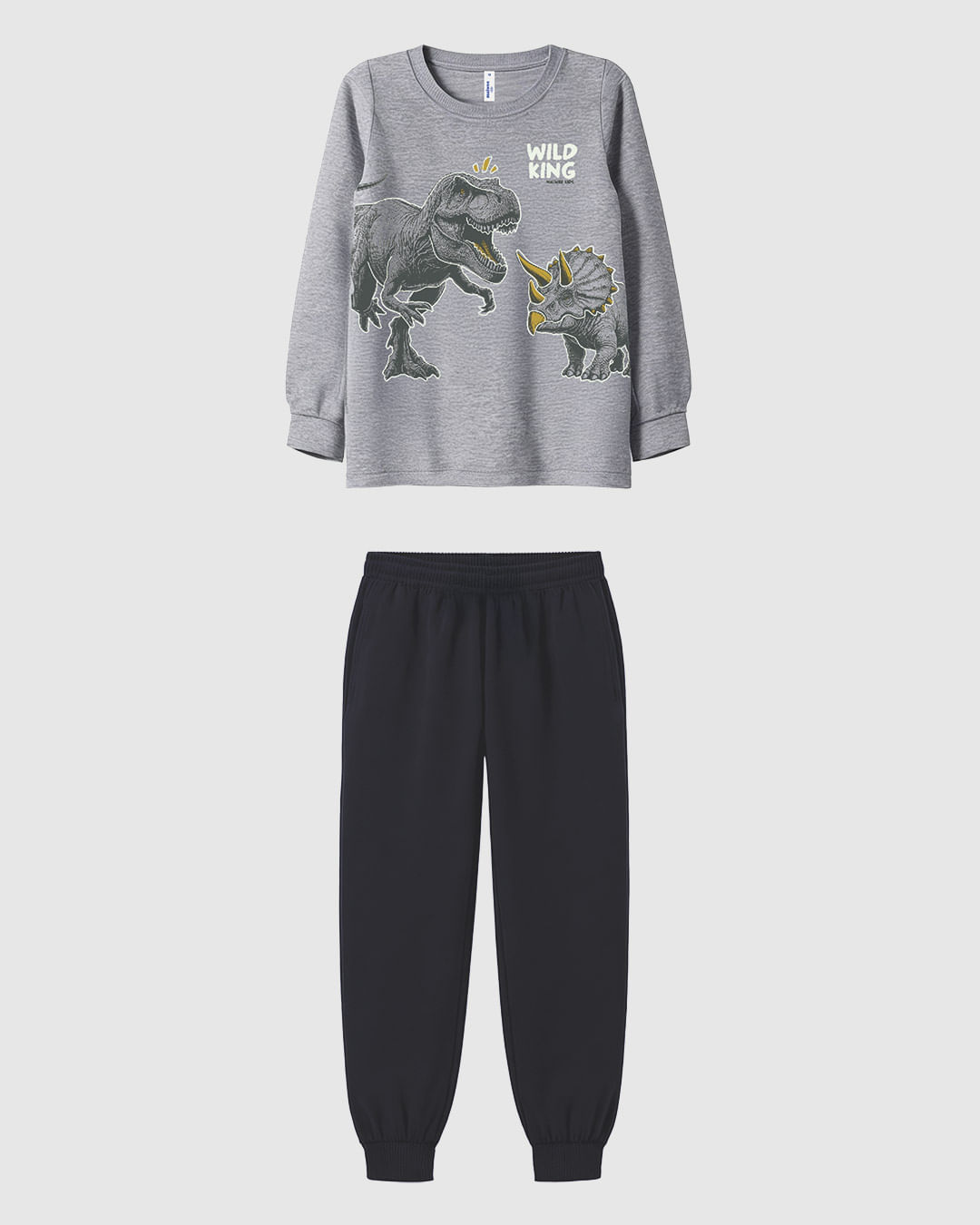 Pijama Infantil Menino Camiseta Manga Longa E Calça Em Algodão Malwee Kids