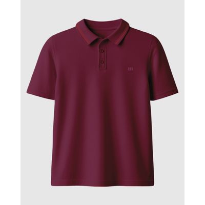 Camisa Polo Infantil Menino Bordado Peitoral Em Algodão Malwee Kids