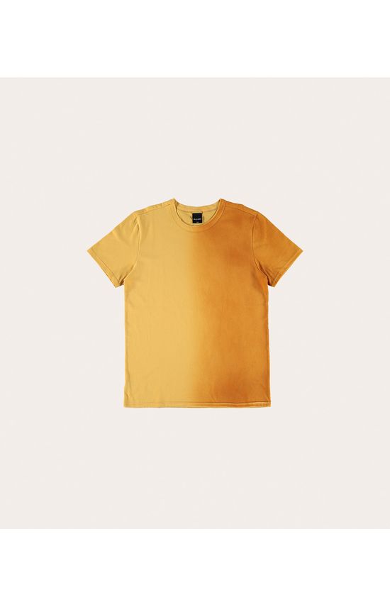 Camiseta Menino Degradê Em Meia Malha Malwee Kids