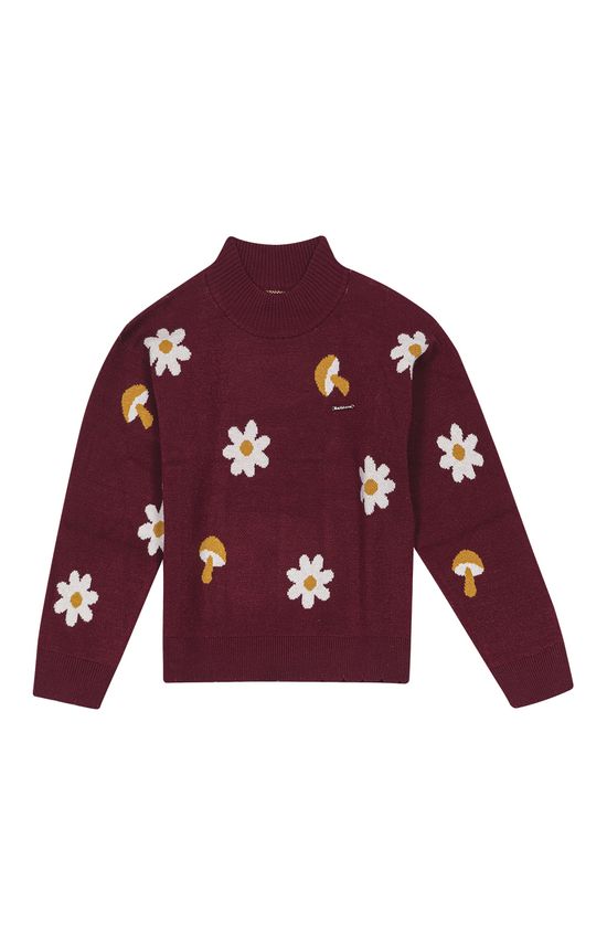 Blusão Menina Gola Alta Floral Em Tricô Carinhoso