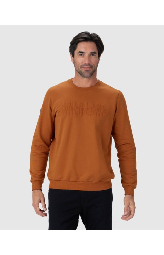 Blusão Masculino Estampa Lettering Alto Relevo Em Moletom Flanelado