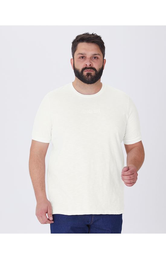 Camiseta Masculina Plus Size Bordado Disconnect To Connect Em Malha Flamê